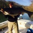 Big striped bass from spring of 2015
