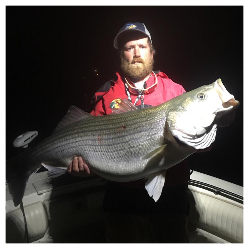 Striped Bass Guides Link